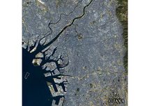 だいちから見た日本の都市 大阪府：衛星画像