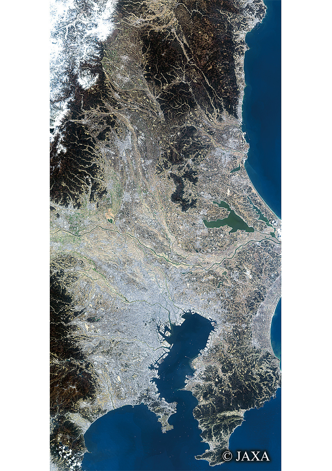 だいちから見た日本の都市 関東:衛星画像