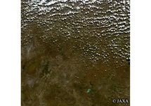 だいちから見た世界の都市 Northen Queensland：衛星画像