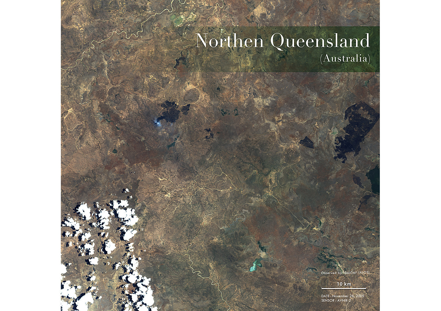 猩E̓ss Northen Queensland:q摜i|X^[dグj