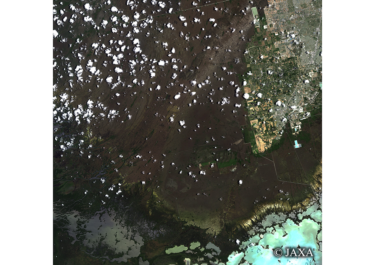 だいちから見た世界の都市 エヴァグレーズ国立公園:衛星画像