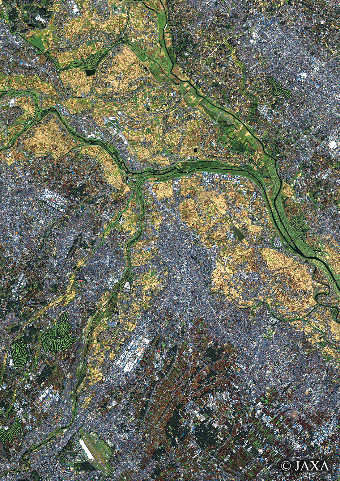 だいちから見た日本の都市 川越市周辺:衛星画像