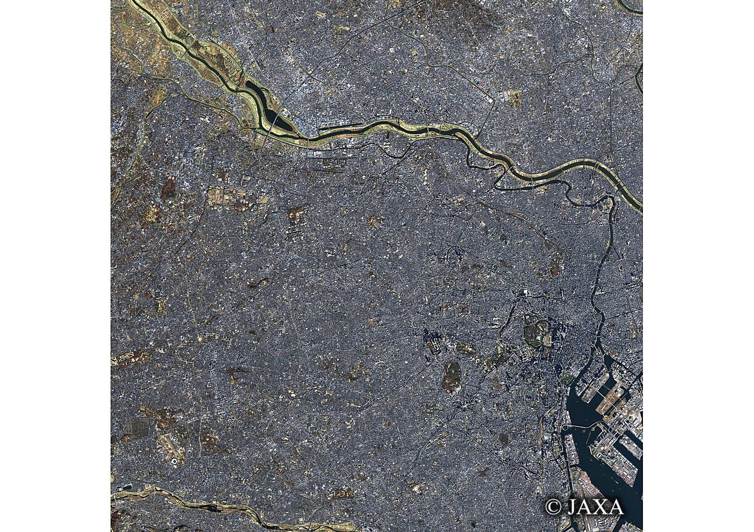 だいちから見た日本の都市 板橋区と周辺地域:衛星画像