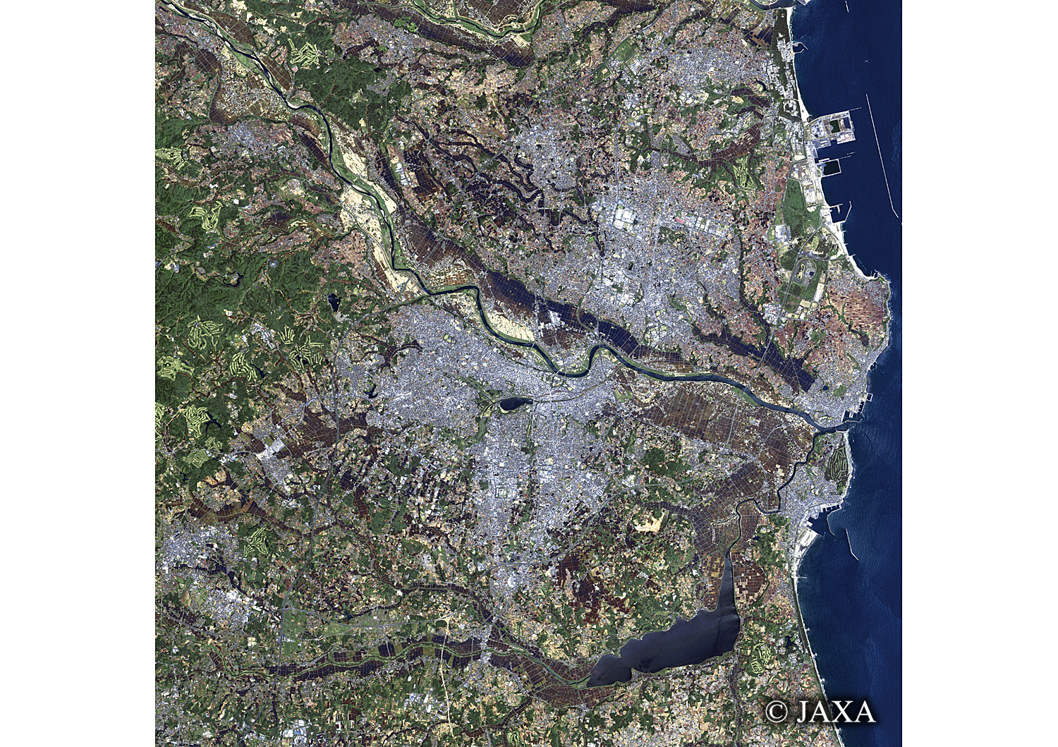 だいちから見た日本の都市 水戸市周辺:衛星画像