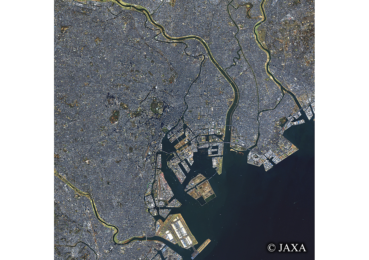 だいちから見た日本の都市 中央区と周辺地域:衛星画像