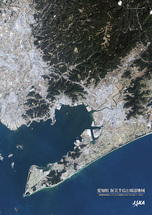 だいちから見た日本の都市 渥美半島と周辺地域：衛星画像