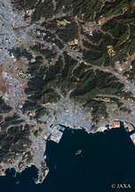 だいちから見た日本の都市 蒲郡市周辺：衛星画像
