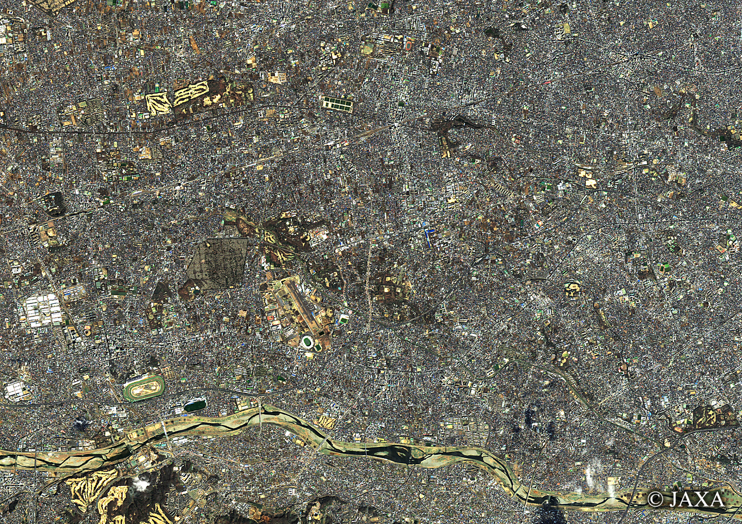 だいちから見た日本の都市 調布市:衛星画像
