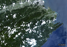 だいちから見た日本の都市 那賀川：衛星画像