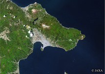 だいちから見た日本の都市 亀田半島：衛星画像